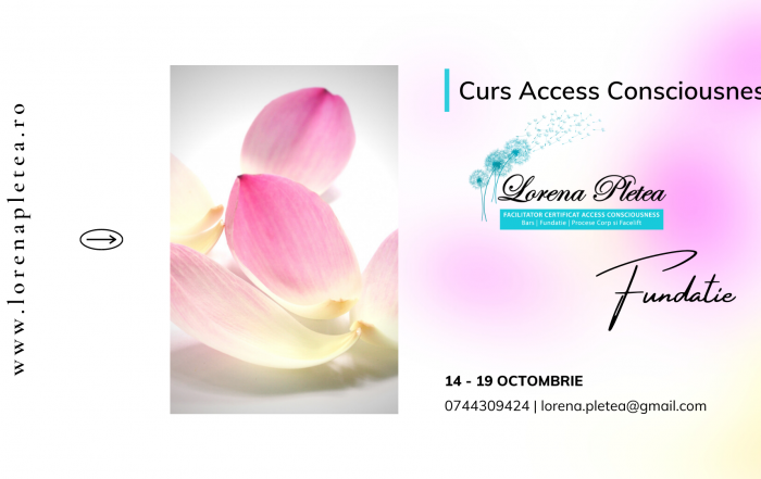 Curs Access Consciousness Fundatia | 14 -19 octombrie, Constanta