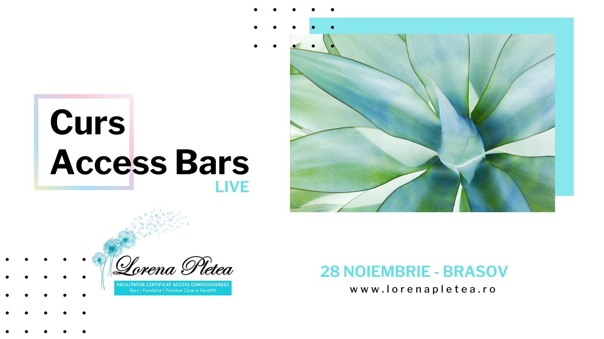 Curs Access Bars – 28 Noiembrie, Brasov