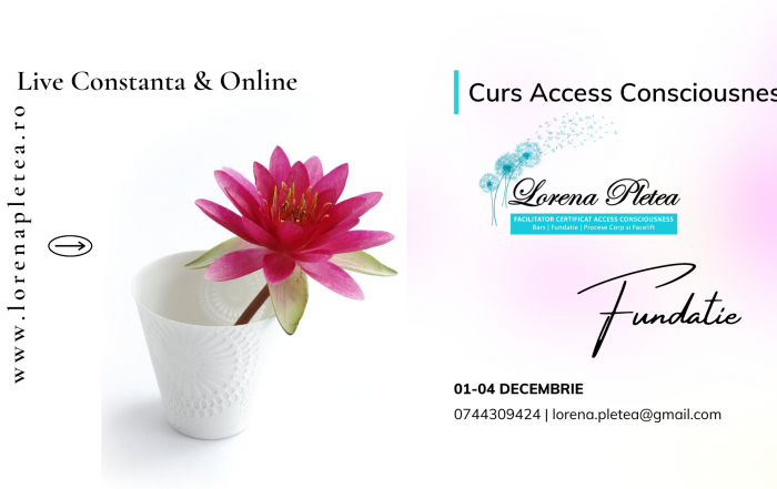 Curs Access Consciousness Fundatia | 01-04 Decembrie, Live Constanta & Online